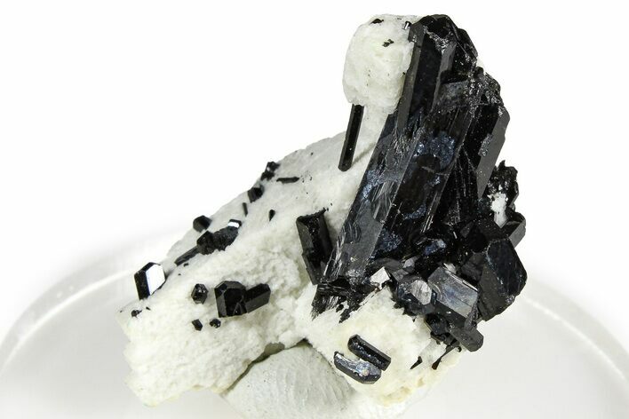 Lustrous Black Tourmaline (Schorl) Crystals w/ Feldspar - Namibia #373617